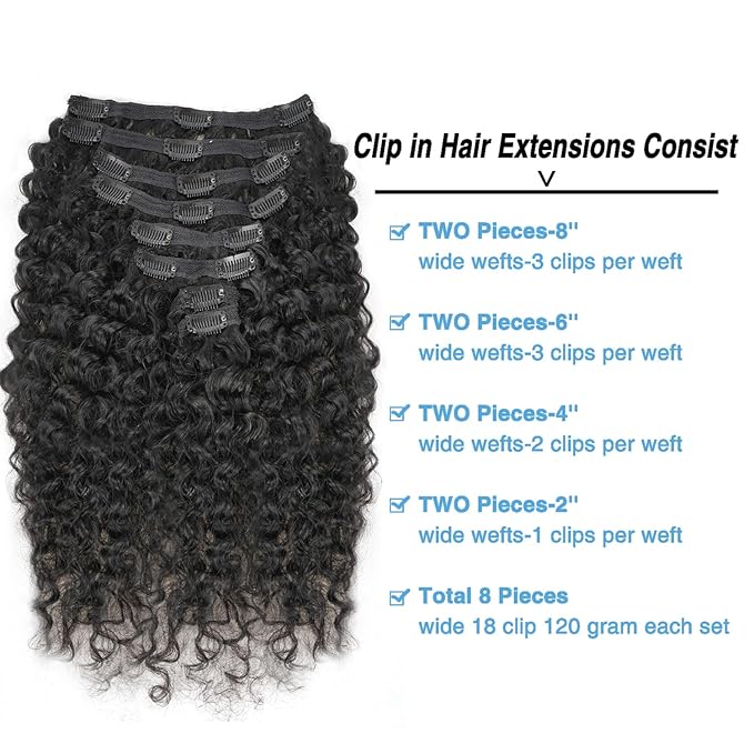Burmese Curly Clip in Hair Extensions Real Human Hair 8Pcs Brazilian Human Hair Clip ins for Black Women With 18Clips 120g 20inch #1B Natural Black