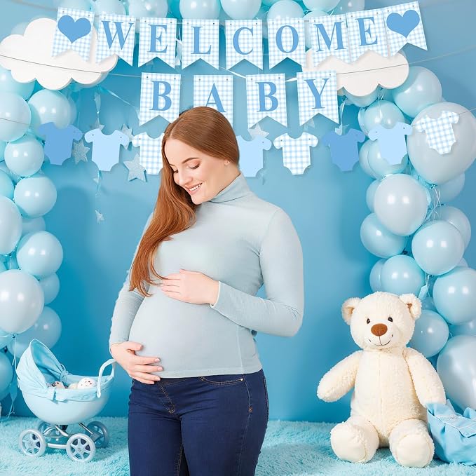 Hahafelt 1 Pcs Blue Gingham Welcome Baby Banner - Image 7