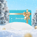 Breescape Cooling Pillow Cases King Size - BlendTek™ Dry & Cool Technology for Hot Sleepers and Night Sweats, 2 Pack Ultra Soft & Smooth Pillowcases for Hair & Skin Care, 20" x 36", Snow White
