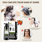 Black Hair Dye Shampoo- Gray Coverage, Herbal Natural 3 in 1 Hair Color Shampoo for Men & Women