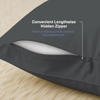Kickoff Viscose Bamboo Pillowcase, Queen, 100% Organic Hidden Zippered Viscose Bamboo Pillow Case Queen Size, Cooling Pillow Cover for Hot Sleepers (1 Pack, 20"x30", Pewter)