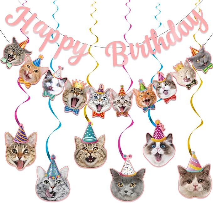 Cat Themed Birthday Party Decorations, Cat Birthday Decorations by Unknown