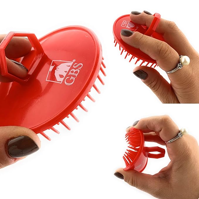 G.B.S Dandruff Cleaning Hair Scalp Brush, Red, Pack of 2
