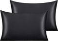 NTBAY 2 Pack Satin Queen Pillowcases for Hair and Skin, Luxurious and Silky Pillow Cases with Envelope Closure, 20x30 Inches, Black