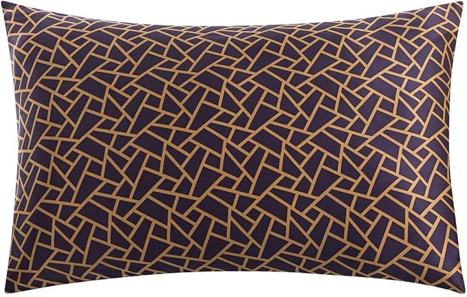 SLPBABY Silk Pillowcase for Hair and Skin with Hidden Zipper Print (King, Pattern26)