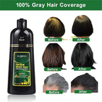 Natural Black Hair Color Shampoo for Gray Coverage, 3 in 1 Herbal Hair Shampoo for Women and Men, 500ML