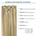 DOORES Human Hair Extensions Clip in Balayage Light Blonde Highlighted Golden Blonde 18 Inch 120g 7pcs Clip in Hair Extensions Natural Straight Hair Extensions