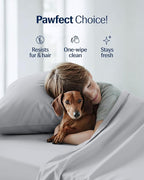 REST® Evercool®+ Cooling Pillowcases Standard - 2 Pillowcases for Sensitive Skin, Silver Infused Fabric for Hygienic Sleep, Silky Smooth for Curly Hair, High Elastic for Snug Fit (19x29 inches)