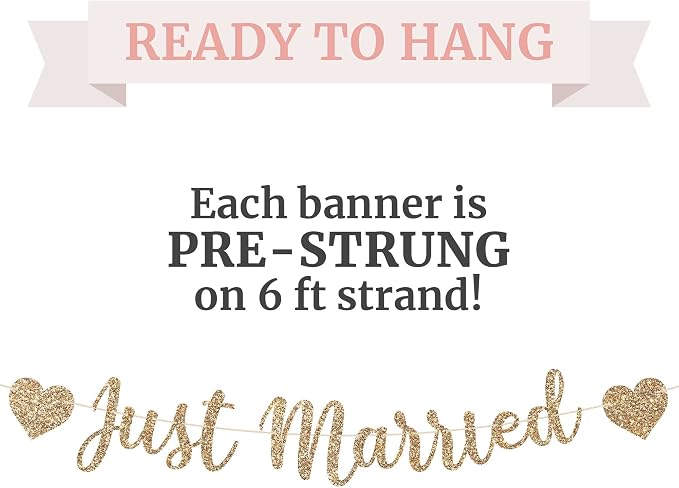 Pre-Strung Just Married Banner - Image 3