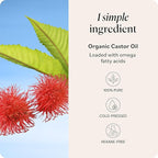 Sky Organics Castor Oil - USDA Certified Organic Hair Oil for Hair Growth, Skin, Face, Eyelashes - Cold Pressed & Hexane Free - Pure Organic Castor Oil Pack Wrap - Carrier & Hair Treatment Oil