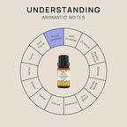 VINEVIDA Vanilla Oleoresin Essential Oil 10 mL - Undiluted Vanilla Oil 10 mL - Vanilla Candle Oil Scent - DIY Candle Scents for Candlemaking - 10 mL Essential Oil for Soap Making Safe for Skin