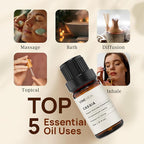 VINEVIDA Cassia Essential Oil 10 mL - Pure, Undiluted Cassia Oil for DIY Candle Scents and Soap Making