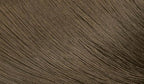 Bigen Speedy Conditioning Color Refill: 4A Ash Brown - 3 Pack