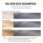Fvquhvo Silver Gray Hair Dye Shampoo, Hair Color Shampoo for Women Men, Long Lasting Silver Grey Hair Dye, Champu Para Canas, Colors in Minutes, Easy to Use, 16.90 Fl Oz