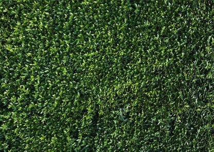 Nature Spring 3D Green Leaves Theme Photo Background Wedding Birthday Party - Image 6