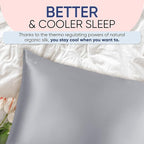 Blissy Silk Pillowcase - 100% Pure Mulberry Silk - 22 Momme 6A High-Grade Fibers - Silk Pillow Cover for Hair & Skin - Regular, Queen & King (Silver, Queen)