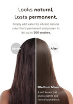 Korean Permanent Hair Dye, Powder Hair Color Kit, Medium Brown, Gray Hair Coverage, Plant-Based Formula, Easy Application for Roots, Short & Long Hair, Vegan, Just Mix with Water (3 Powder Packets)