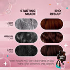 Herbishh Bubble Foam Hair Dye Shampoo, 3 in 1 Dye for 100% Grey Coverage, Permanent Hair Coloring for Men & Women, Long-lasting & Travel-friendly, Ammonia-free, 10 Sachet x 24 ml (Dark Brown)