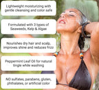 Shampoo and Conditioner Set - Seaweed Hydrating Shampoo and Sea Kelp Daily Conditioner to nourish dry damaged hair, repair and bond damange and reduce frizz