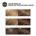 Instant Coffee Hair Dye Shampoo 3 In 1, Coffee Brown Hair Color Shampoo for Women & Men, Natural Hair Dye Shampoo Herbal Brown Shampoo Colors in Minutes 500ML