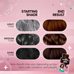 Herbishh Bubble Foam Hair Dye Shampoo, 3 in 1 Dye for 100% Grey Coverage, Permanent Hair Coloring for Men & Women, Long-lasting & Travel-friendly, Ammonia-free, 10 Sachet x 24 ml (Chestnut Brown)