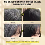Hair Dye Shampoo 3 in1, Sulfate-Free Natural Black for Gray Hair, Semi-Permanent Hair Color Shampoo with Herbal Ingredients for Women and Men 16.9 oz (Black)