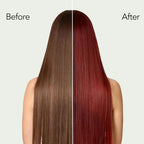 Wine Red Hair Dye Shampoo 3 in 1 for Men Women, Argan Oil Burgundy Hair Dye Shampoo, Red Color Shampoo Hair Dye, Easy to Use, Instant Hair Dye for All Hair Types (Wine red)