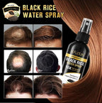 Organic Black Rice Water Spray for Hair Growth, with Castor Oil & Ginger Root Extract for Thicker, Fuller Hair, Helps in Hair Loss and helps Repair Damage 100ml/3.2 fl. Oz (1 PC) - ActivePur