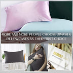 ZIMASILK 100% Pure Mulberry Silk Pillowcase for Hair and Skin Health,Soft and Smooth,Both Sides Premium Grade 6A Silk,600 Thread Count,with Hidden Zipper,1pc (King 20''x36'',Dark Gray)
