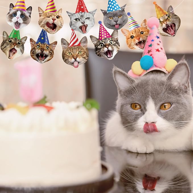 Hooqict Cat Birthday Banner Birthday Party Decorations - Image 7