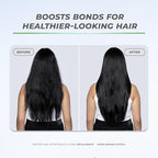 XMONDO Hair Recalibrate Bond Repair Conditioner | Vegan Formula with Maracuja Oil, Hyaluronic Acid, and Bond Building Technology to Rewind, Restore, and Reseal Dry Damaged Hair, 8 Fl Oz 1-Pack
