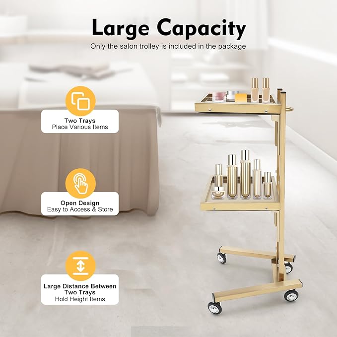 2 Tier Foldable Tray Trolley, Stainless Steel Salon Storage Metal Rolling Cart Mobile Hairdressing Tool Organizer with Wheels for Hair Salon, Studios, Spa Salons (Gold)
