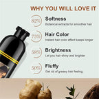 Hair Dye Shampoo, 3 in 1 Gray Hair Coverage, One-Step Wash-In Hair Dye, Shampoos for Color Treated Hair, Semi Permanent Hair Color Shampoo for Women & Men, 13.6 fl. oz,(Deep Brown)