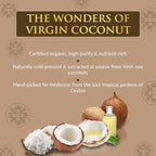 SPA CEYLON Virgin Coconut Hair Treatment Masque | Deep Conditioning | Hair Repair | 100% Vegan & Vegetarian | Best for Dry, Very Dry & Unruly Hair