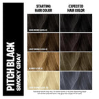 IGK Color Depositing Mask PITCH BLACK - Smoky Gray | Conditioning + Hydrate + Shine | Vegan + Cruelty Free | 6 Oz