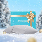 Breescape Cooling Pillow Cases King Size - BlendTek™ Dry & Cool Technology for Hot Sleepers and Night Sweats, 2 Pack Ultra Soft & Smooth Pillowcases for Hair & Skin Care, 20" x 36", Misty Gray