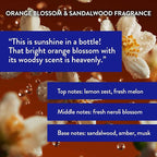Routine Wellness Anti-Thinning Volumizing Shampoo and Conditioner Set for Thinning Hair & Hair Loss - Grow Your Confidence with Biotin & DHT Blockers - Orange Blossom & Sandalwood Set
