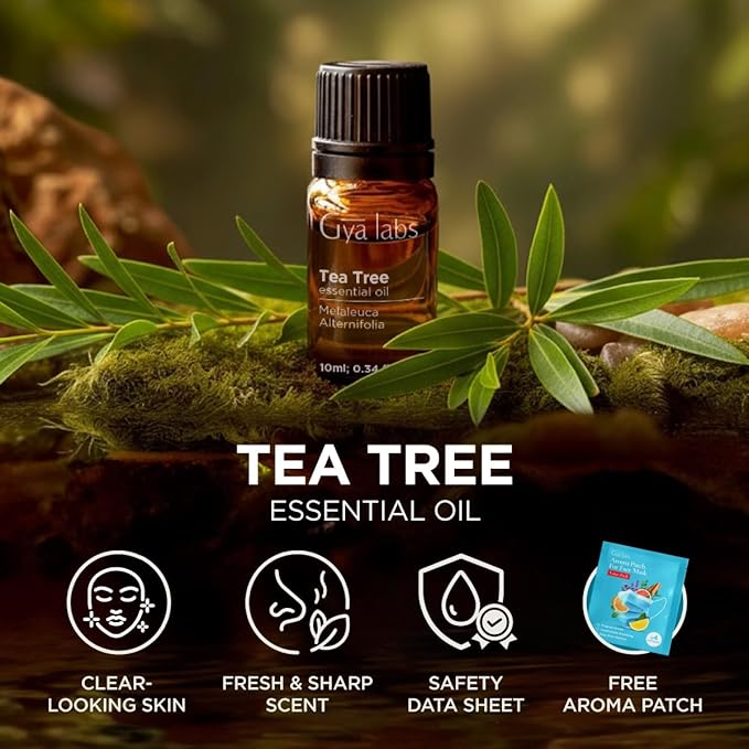Gya Labs Australian Tea Tree Essential Oil - 0.34 Fl Oz - for Hair, Skin, Diffuser, Aromatherapy & DIY Candle Making Scent