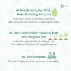 [THY rootup+] Botanical Hair Tonic – Herbal Scalp Spray for Fuller-Looking Hair | Non-Greasy Formula with Korean Plant-Based Formula | For Men & Women |250 ml / 8.45 fl oz