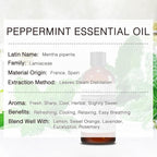 Peppermint Essential Oil, 100% Pure & Natural Peppermint Oil 100ML, Premium Grade Aromatherapy Oil for Skin Body Hair Care, Freshening Air, Mood, Diffuser, Massage, Soap and Candle Making