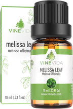 VINEVIDA Melissa Leaf Essential Oil 10 mL - Pure, Undiluted