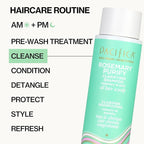 Pacifica Shampoo & Conditioner Set – Rosemary Purify Invigorating Set with Cooling Mint for Clarifying and Detoxing, Sulfate-Free, Vegan & Cruelty-Free, 12 oz & 8 oz (Set of 2)