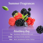 KUNDAL Cherry Blossom Conditioner + Blackberry Bay Shampoo Set | Damage Repair, Deep Hydration & Long-Lasting Fragrance Duo