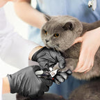 Disposable Gloves Large, Nitrile and Vinyl Blend Material Gloves, Latex Free 4 Mil 200 Pc Food Grade Glove for Cleaning, Food Prep,Hair Dye,Tattoo, Black