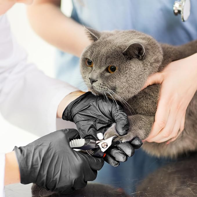Disposable Gloves Small, Nitrile and Vinyl Blend Latex Free Gloves, 4 Mil,1000 Pc. Food Grade Glove for Cleaning, Food Prep, Hair Dye, Tattoo, Black