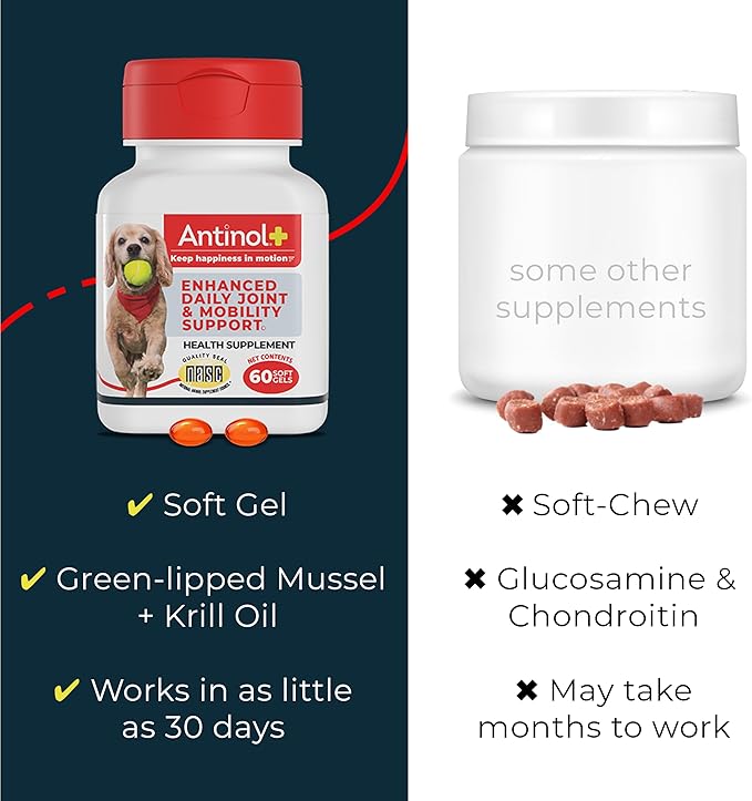Antinol Plus, Mobility, Hip, and Joint Supplement for Dogs, Green-Lipped Mussels and Krill Oil - Dog Joint Supplement, Better and Faster Than Glucosamine and Chondroitin, 60 Soft Gels