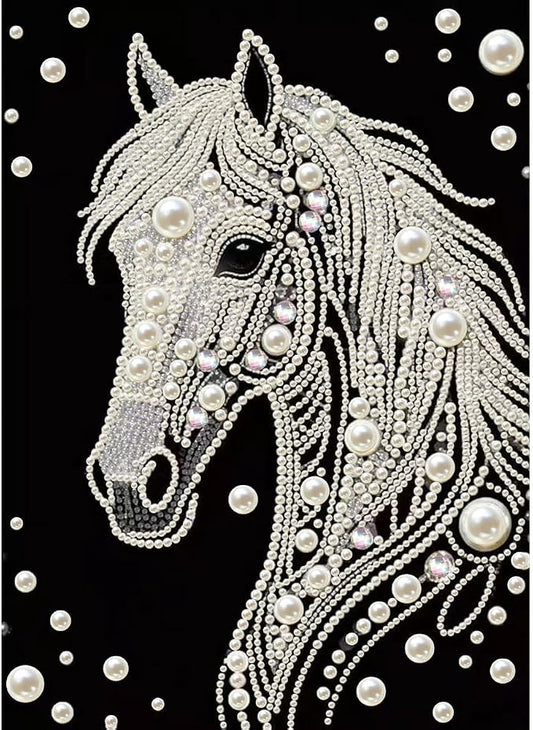 GEMFAMILY 5D Diamond Art Pearl Painting Kits by Unknown