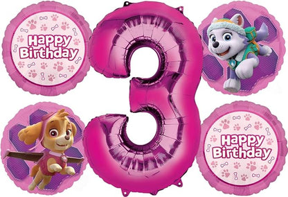 Skye Everest 3rd Birthday Party Supplies Girl Paw Pups on Patrol Balloons by Anagram