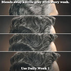 Just for Men Control GX Grey Reducing Shampoo, Gradual Hair Color with Keratin for Stronger Thicker and Healthier Looking Hair, 4 Fl Oz - Pack of 3 (Packaging May Vary)