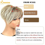 QUEENTAS Hair Topper for Women with Thinning Hair Pieces 6.5"*6"Large Coverage 360°3D Synthetic Short Wiglets with 5 Clips(Blonde Mixed Brown)
